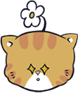 猫咪表情4